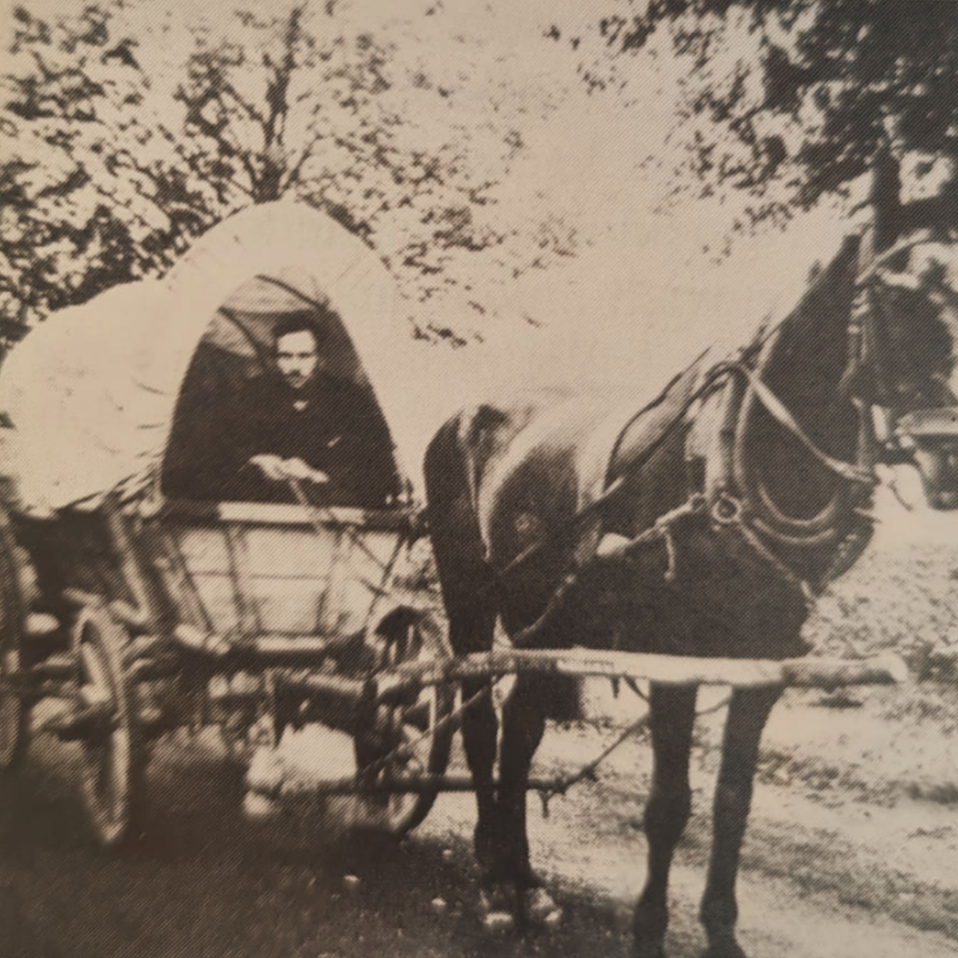 Kartoffel Fuhrwerk Schneller